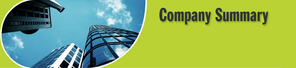 Company Summary